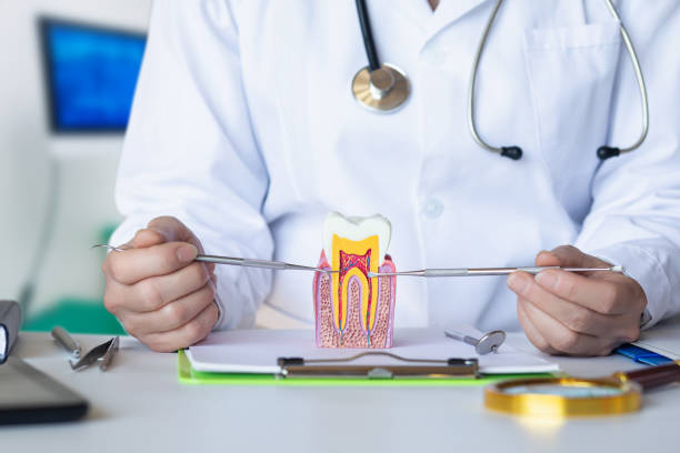 Best Emergency Gum Pain Relief  in Frankston, TX